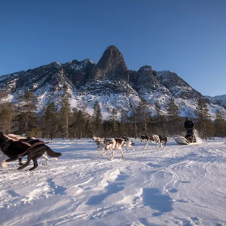 Reisafjord Sørkjosen