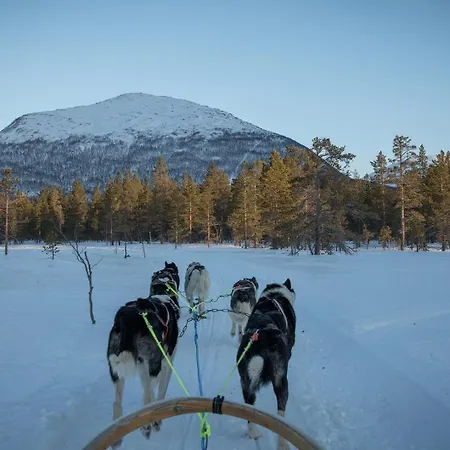 Reisafjord Sørkjosen