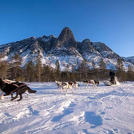 Reisafjord Sørkjosen