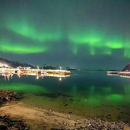 Reisafjord Sørkjosen