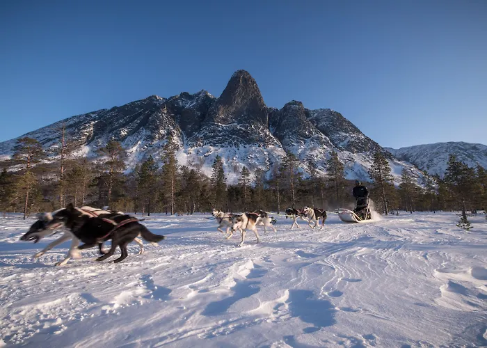 Reisafjord Sørkjosen