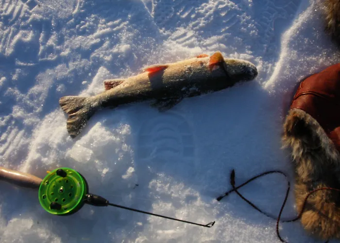 Hotel Reisafjord Sørkjosen