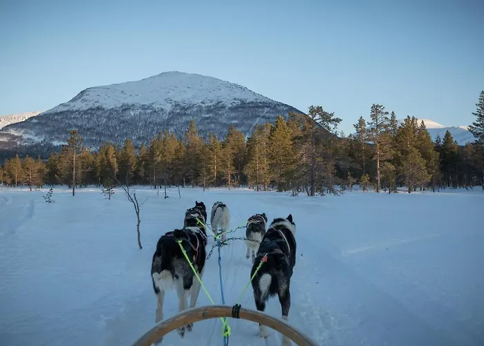 Reisafjord Sørkjosen