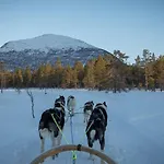 Reisafjord Sørkjosen