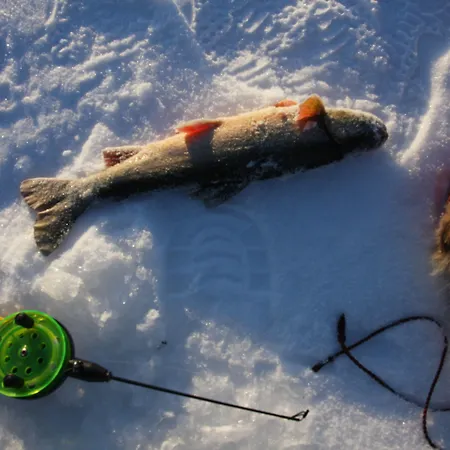 Otel Reisafjord Sørkjosen